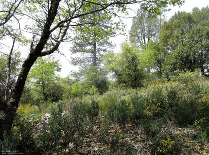 24271 Hoyt Crossing Rd, North San Juan, CA 95960 Photo