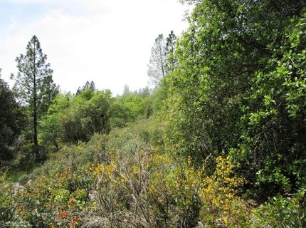 24271 Hoyt Crossing Rd, North San Juan, CA 95960 Photo
