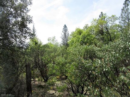24271 Hoyt Crossing Rd, North San Juan, CA 95960 Photo