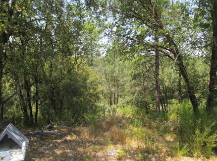 24271 Hoyt Crossing Rd, North San Juan, CA 95960 Photo