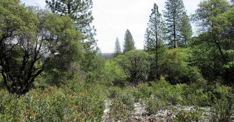 24271 Hoyt Crossing Rd, North San Juan, CA 95960 Photo
