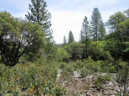 24271 Hoyt Crossing Rd, North San Juan, CA 95960 Photo