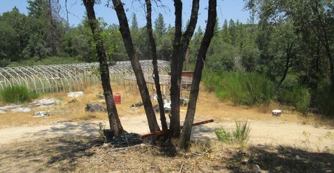 24271 Hoyt Crossing Rd, North San Juan, CA 95960 Photo