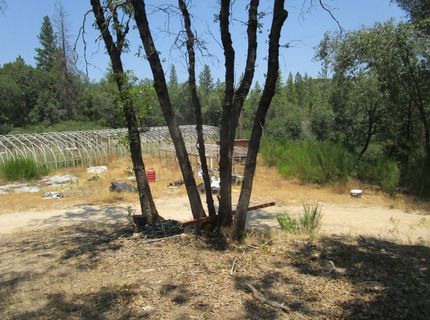 24271 Hoyt Crossing Rd, North San Juan, CA 95960 Photo