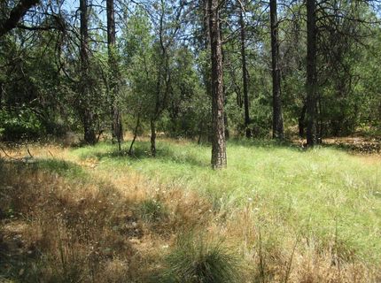 24271 Hoyt Crossing Rd, North San Juan, CA 95960 Photo