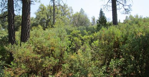24271 Hoyt Crossing Rd, North San Juan, CA 95960 Photo