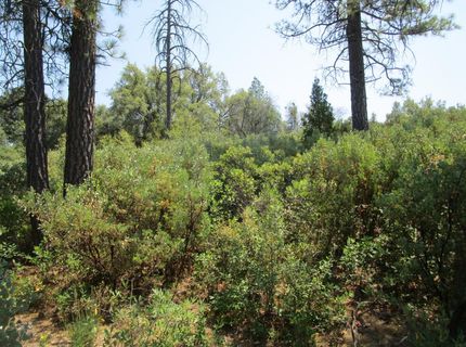 24271 Hoyt Crossing Rd, North San Juan, CA 95960 Photo