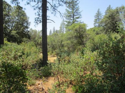 24271 Hoyt Crossing Rd, North San Juan, CA 95960 Photo