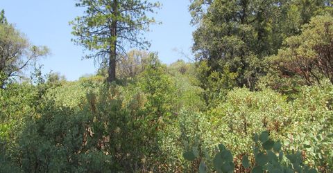 24271 Hoyt Crossing Rd, North San Juan, CA 95960 Photo