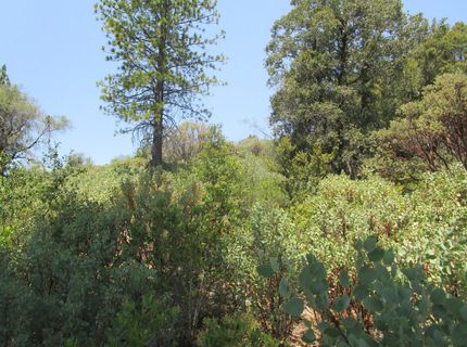 24271 Hoyt Crossing Rd, North San Juan, CA 95960 Photo