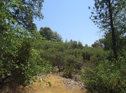 24271 Hoyt Crossing Rd, North San Juan, CA 95960 Photo