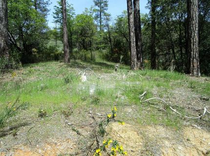 24271 Hoyt Crossing Rd, North San Juan, CA 95960 Photo