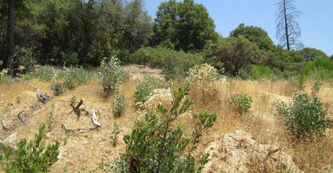 24271 Hoyt Crossing Rd, North San Juan, CA 95960 Photo