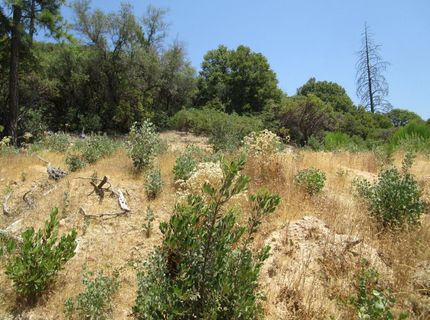 24271 Hoyt Crossing Rd, North San Juan, CA 95960 Photo
