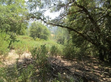 24271 Hoyt Crossing Rd, North San Juan, CA 95960 Photo