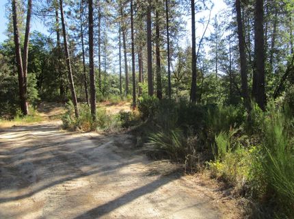 24271 Hoyt Crossing Rd, North San Juan, CA 95960 Photo