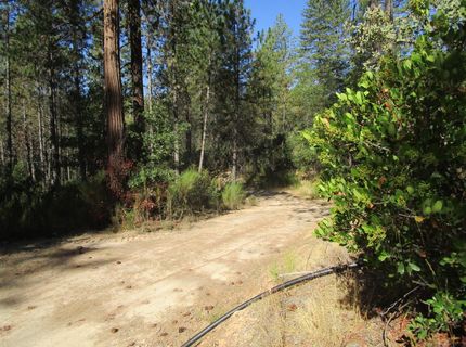 24271 Hoyt Crossing Rd, North San Juan, CA 95960 Photo