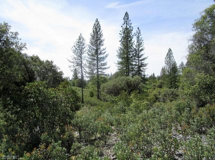 24271 Hoyt Crossing Rd, North San Juan, CA 95960 Photo