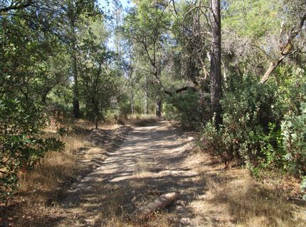 24271 Hoyt Crossing Rd, North San Juan, CA 95960 Photo