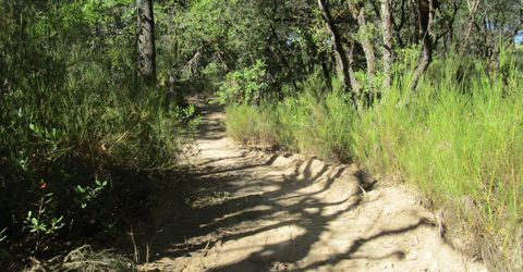 24271 Hoyt Crossing Rd, North San Juan, CA 95960 Photo