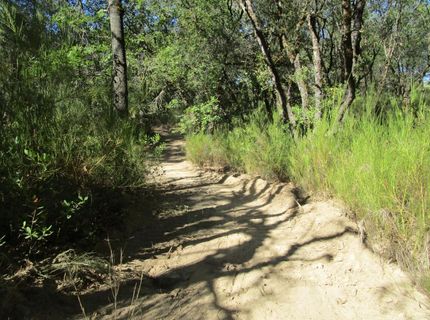 24271 Hoyt Crossing Rd, North San Juan, CA 95960 Photo