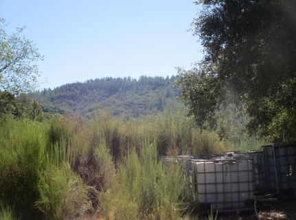 24271 Hoyt Crossing Rd, North San Juan, CA 95960 Photo