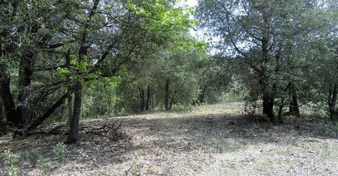 24271 Hoyt Crossing Rd, North San Juan, CA 95960 Photo