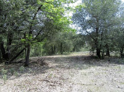 24271 Hoyt Crossing Rd, North San Juan, CA 95960 Photo