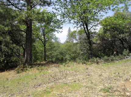 24271 Hoyt Crossing Rd, North San Juan, CA 95960 Photo