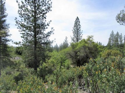 24271 Hoyt Crossing Rd, North San Juan, CA 95960 Photo
