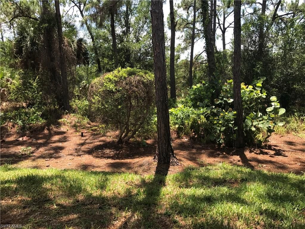 4161 Sawgrass Point Dr, Unit 101, Bonita Springs, FL 34134 Photo