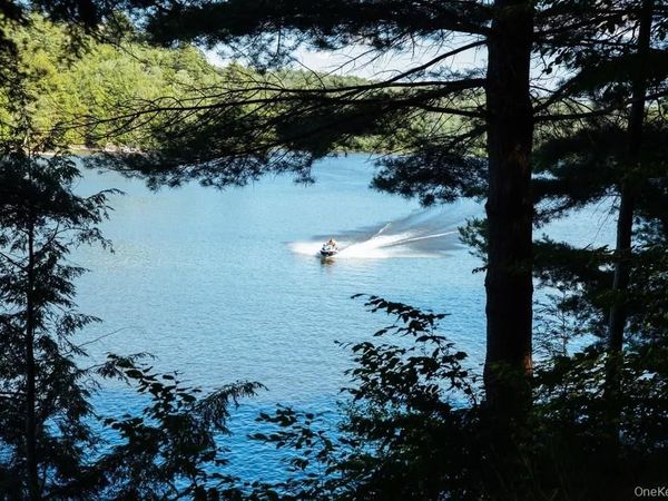 Lot 2 Woodstone Trail, Smallwood, NY 12737