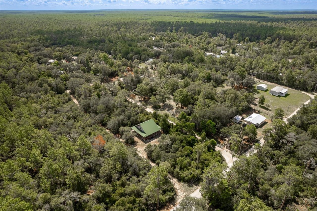 20259 NE 147th Terrace, Fort Mc Coy, FL 32134 Photo