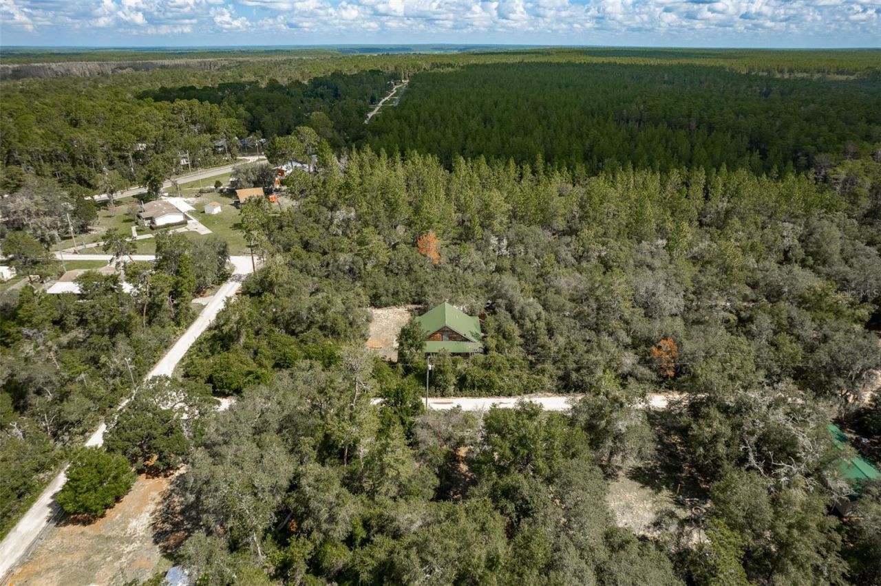 20259 NE 147th Terrace, Fort Mc Coy, FL 32134 Photo