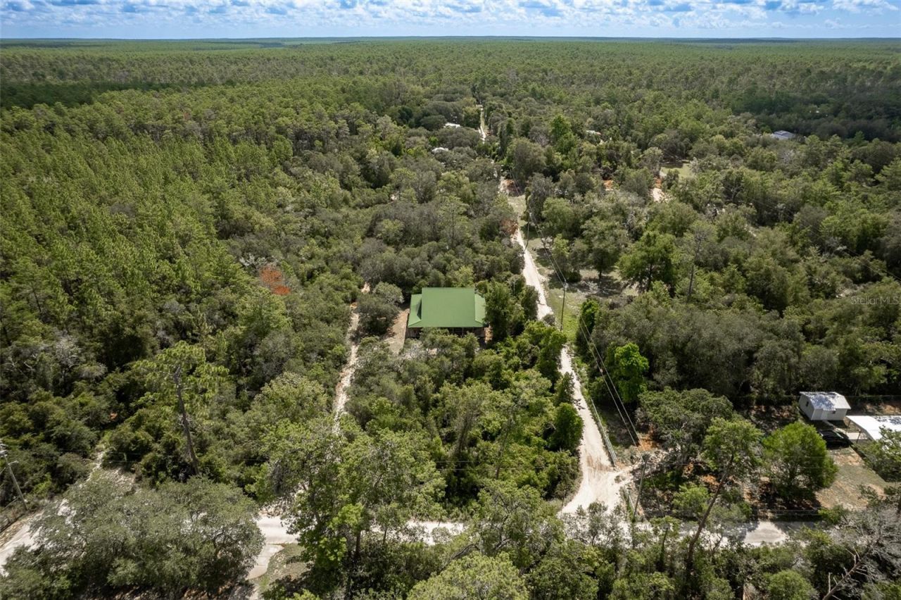 20259 NE 147th Terrace, Fort Mc Coy, FL 32134 Photo