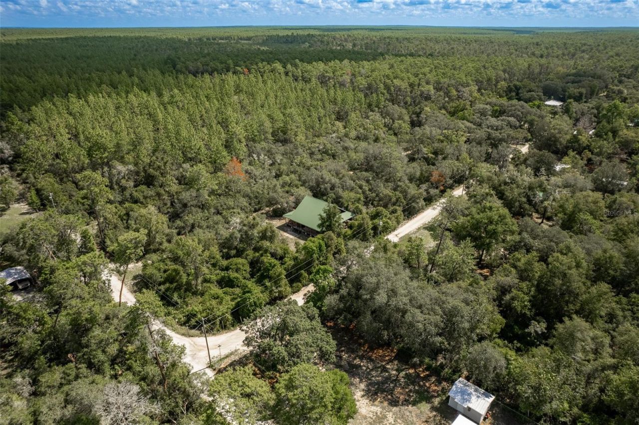 20259 NE 147th Terrace, Fort Mc Coy, FL 32134 Photo