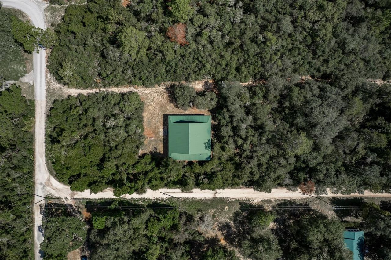 20259 NE 147th Terrace, Fort Mc Coy, FL 32134 Photo