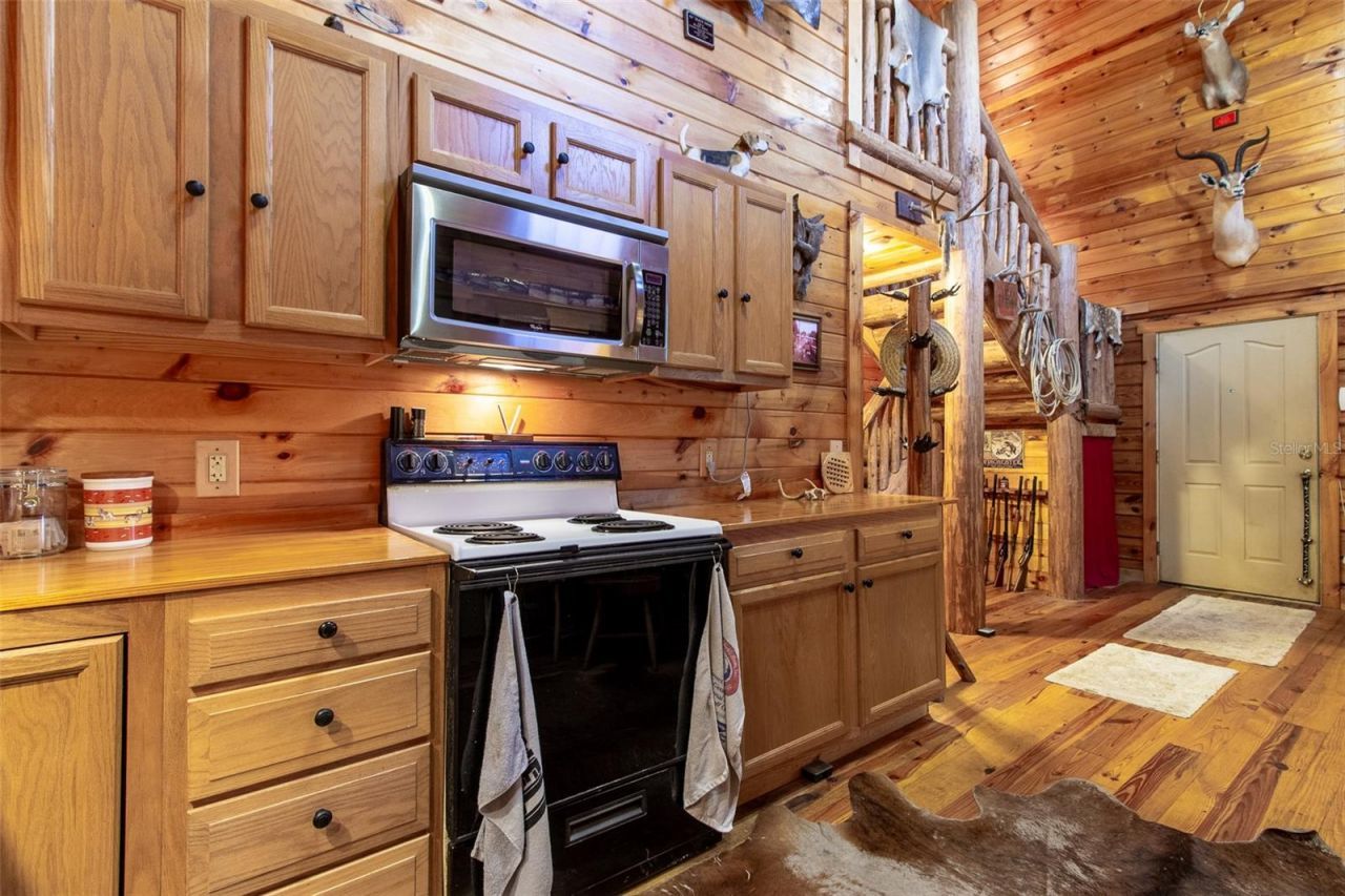 20259 NE 147th Terrace, Fort Mc Coy, FL 32134 Photo