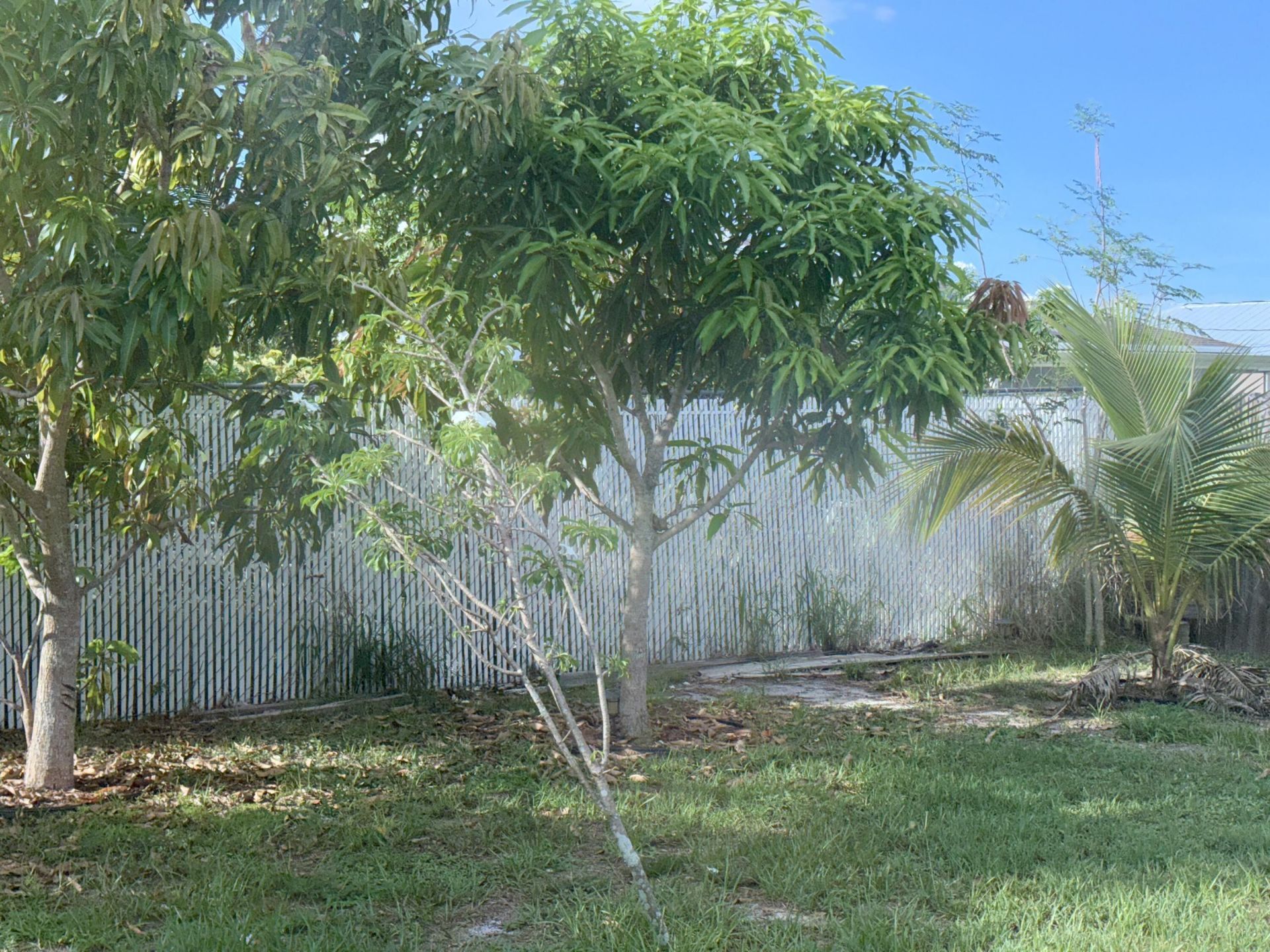 981 SW Mccomkle Avenue, Port Saint Lucie, FL 34953 Photo