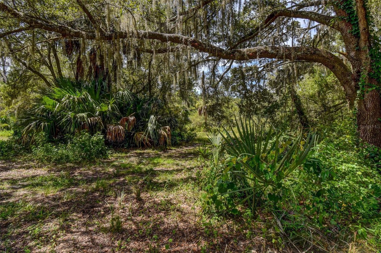 8601 W Bass Lake Road, Lot #12, Crystal River, FL 34428 Photo