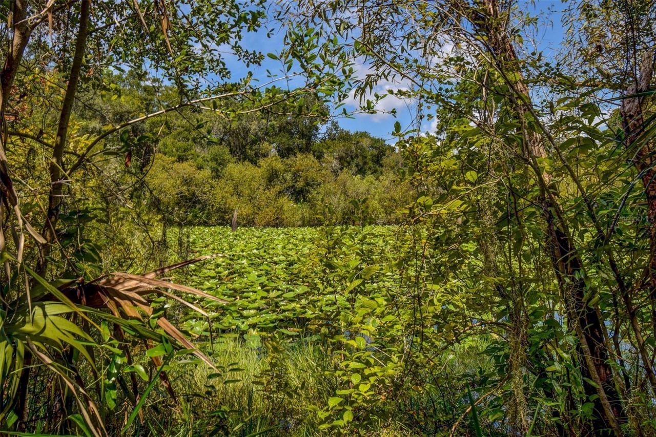 8601 W Bass Lake Road, Lot #12, Crystal River, FL 34428 Photo