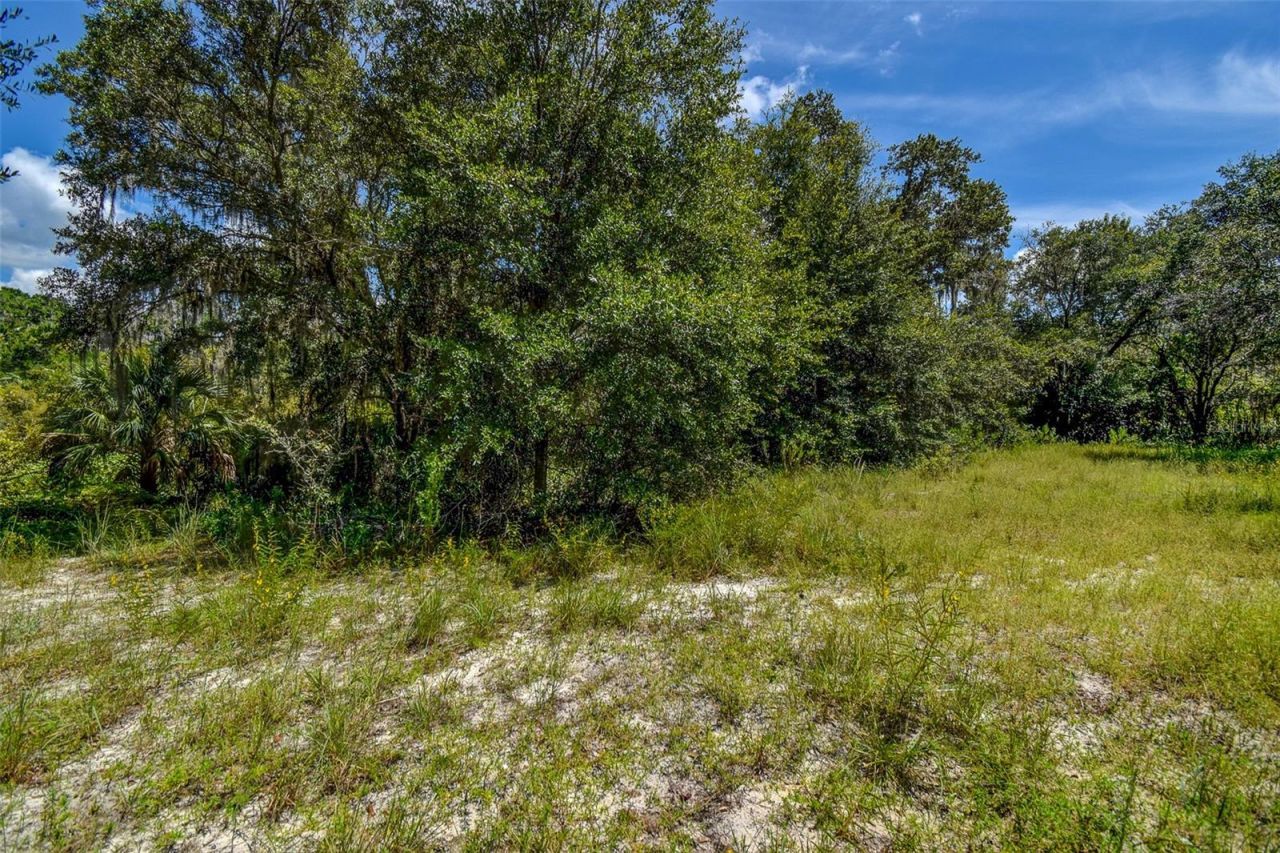 8601 W Bass Lake Road, Lot #12, Crystal River, FL 34428 Photo