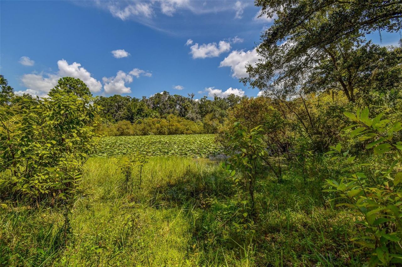 8601 W Bass Lake Road, Lot #12, Crystal River, FL 34428 Photo
