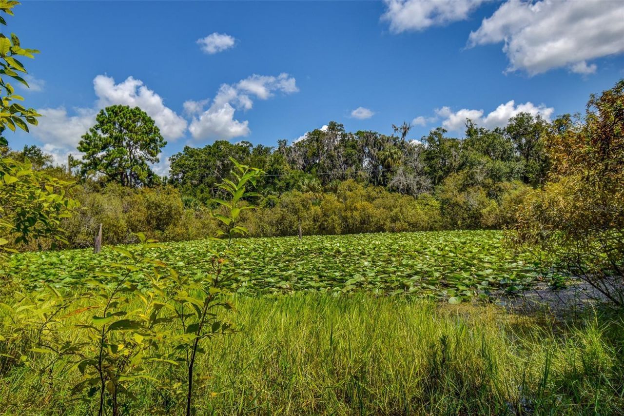 8601 W Bass Lake Road, Lot #12, Crystal River, FL 34428 Photo