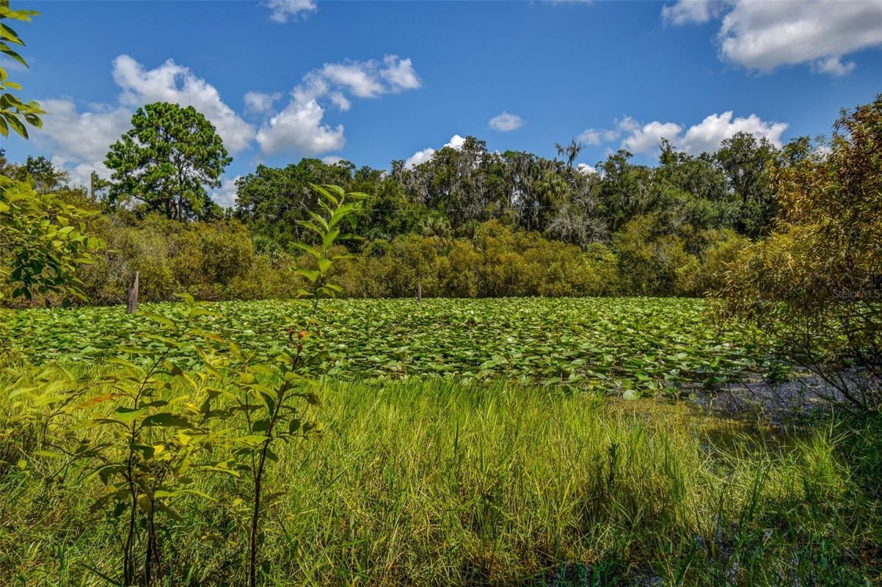 8601 W Bass Lake Road, Lot #12, Crystal River, FL 34428 Photo