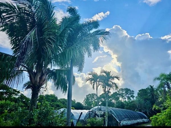 3730 161st Ter N, Loxahatchee, FL 33470