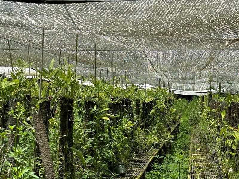 3730 161st Ter N, Loxahatchee, FL 33470 Photo