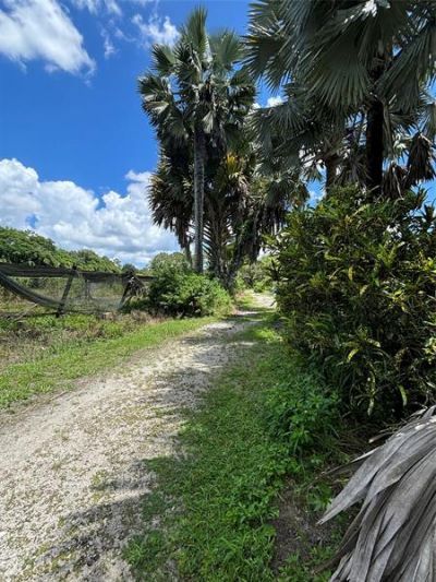 3730 161st Ter N, Loxahatchee, FL 33470 Photo