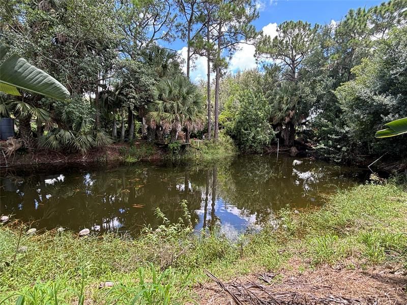 3730 161st Ter N, Loxahatchee, FL 33470 Photo