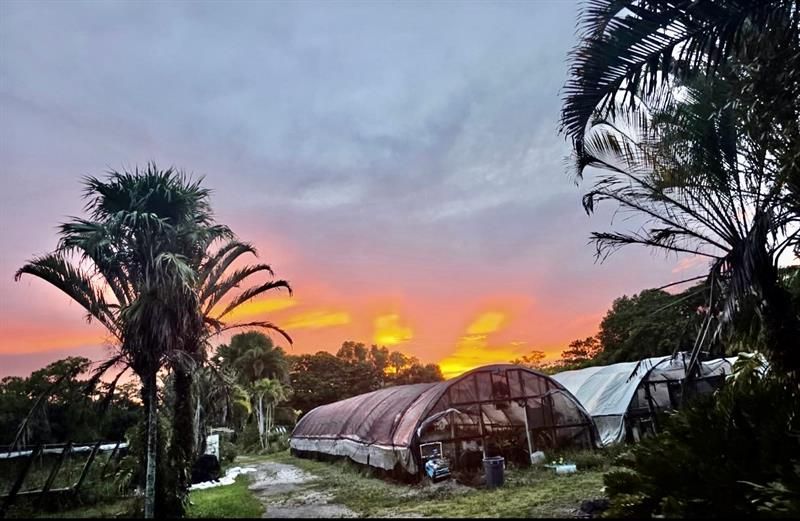 3730 161st Ter N, Loxahatchee, FL 33470 Photo